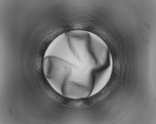 X0000113330554200910131151
