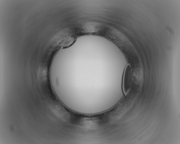 X0000113330556200910131151