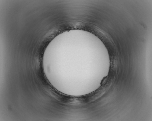 X0000113330558200910131151