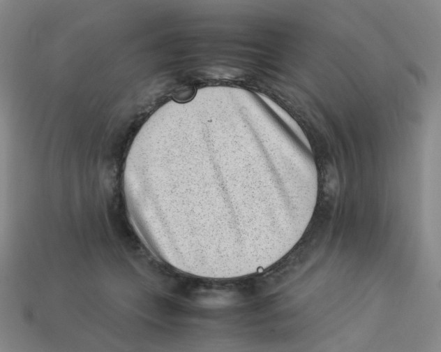 X0000113330559200910131151