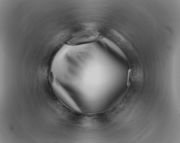X0000113330560200910131151