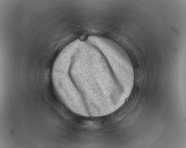 X0000113330563200910131151