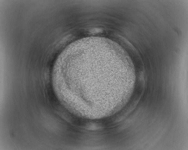X0000113330565200910131151