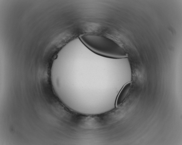 X0000113330566200910131151