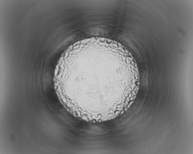X0000113330569200910131151