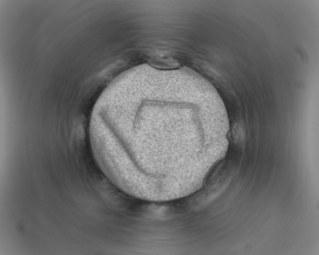 X0000113330570200910131151