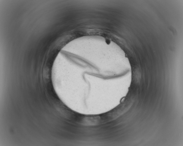 X0000113330571200910131151