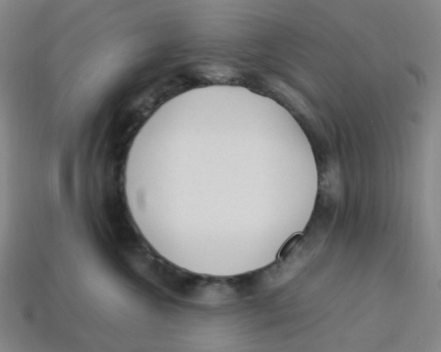 X0000113330572200910131151