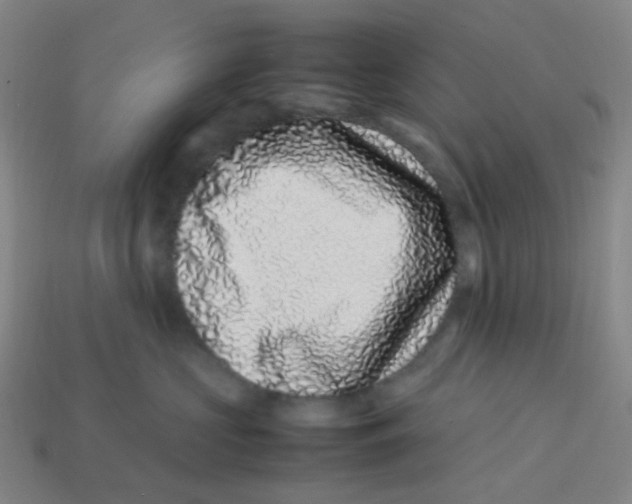 X0000113330573200910131151