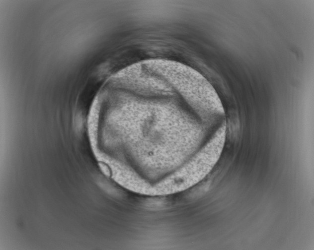 X0000113330574200910131151