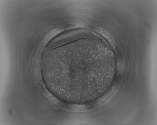 X0000113330577200910131150