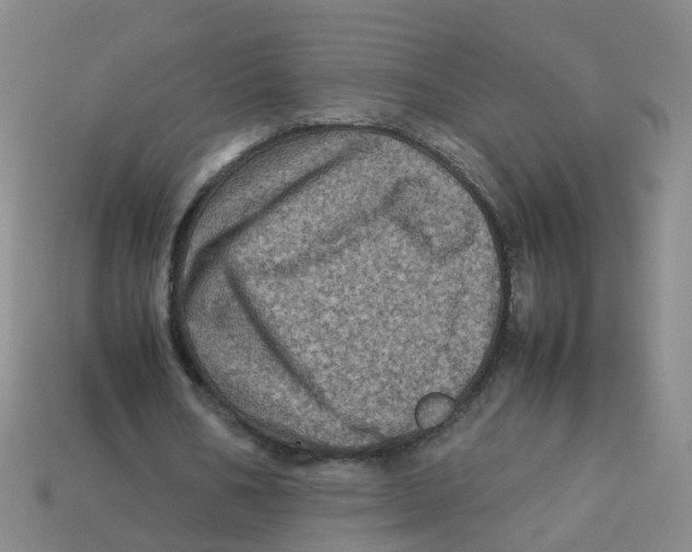 X0000113330578200910131150
