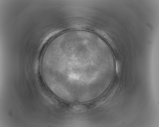 X0000113330579200910131150