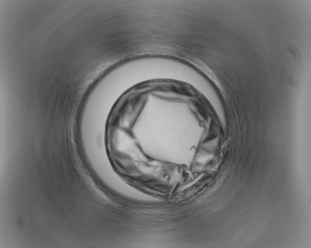 X0000113330581200910131150