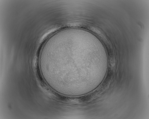 X0000113330583200910131150
