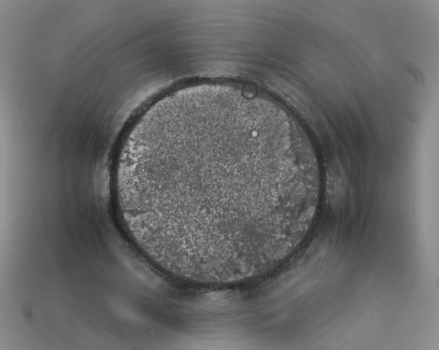 X0000113330584200910131150