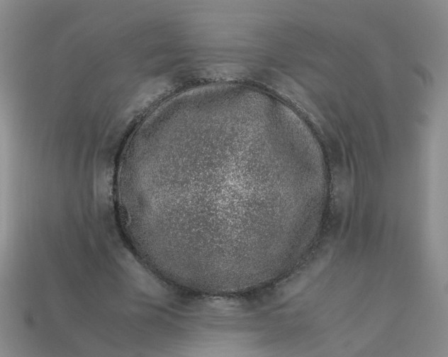 X0000113330585200910131150