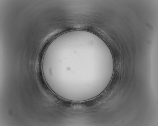 X0000113330587200910131150