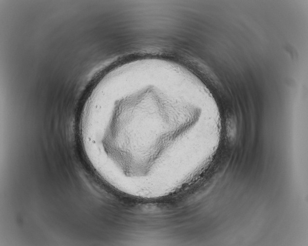 X0000113330588200910131150