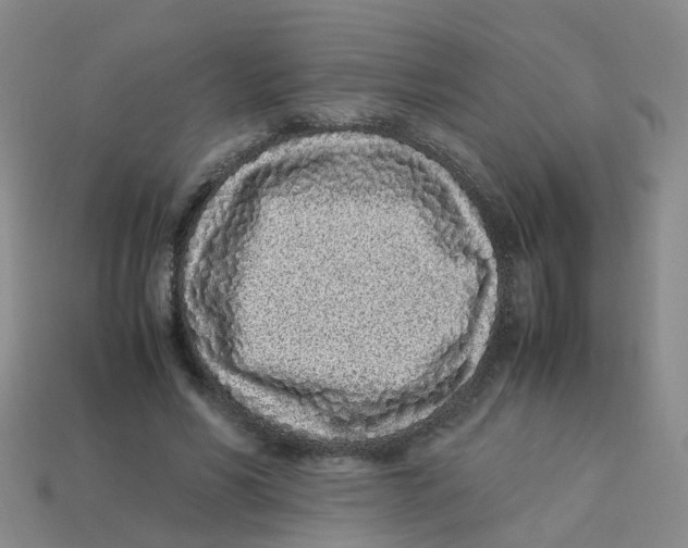 X0000113330590200910131150