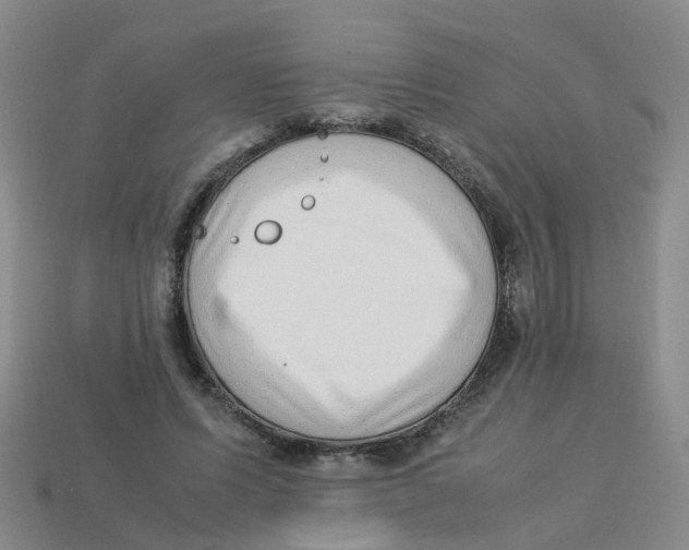 X0000113330591200910131150