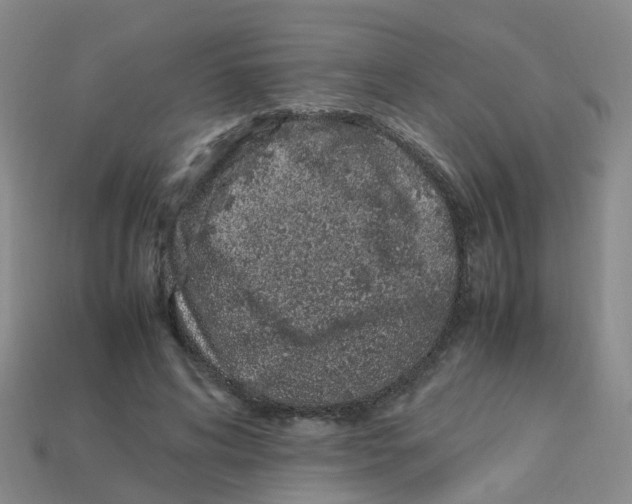 X0000113330592200910131150