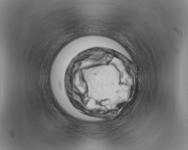X0000113330593200910131150