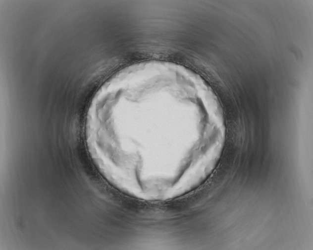X0000113330594200910131150