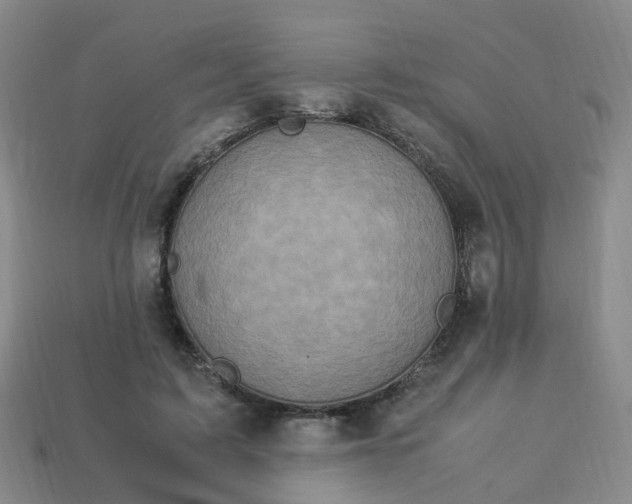 X0000113330595200910131150