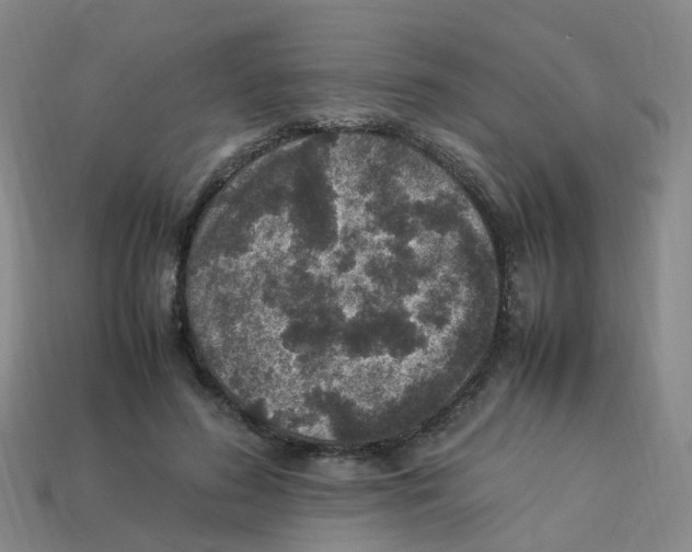 X0000113330596200910131150