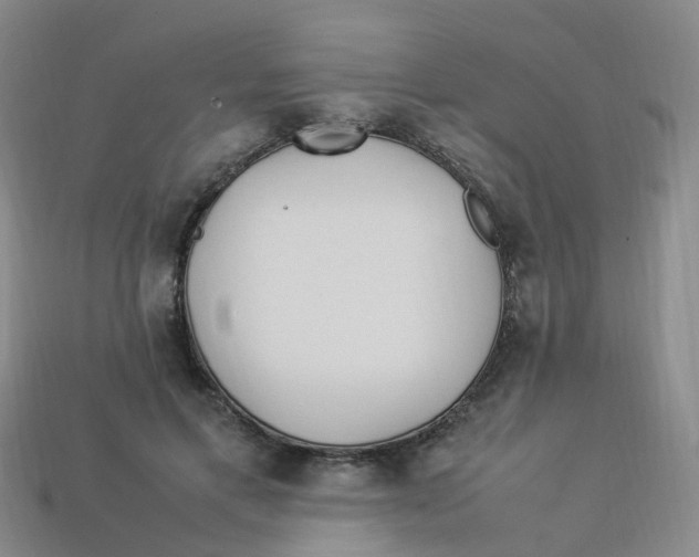 X0000113330597200910131150
