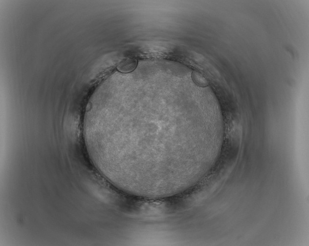X0000113330599200910131150