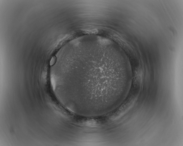 X0000113330600200910131150