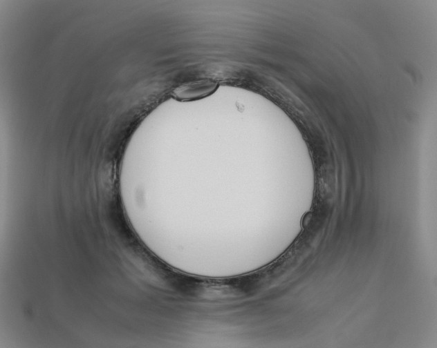 X0000113330605200910131150