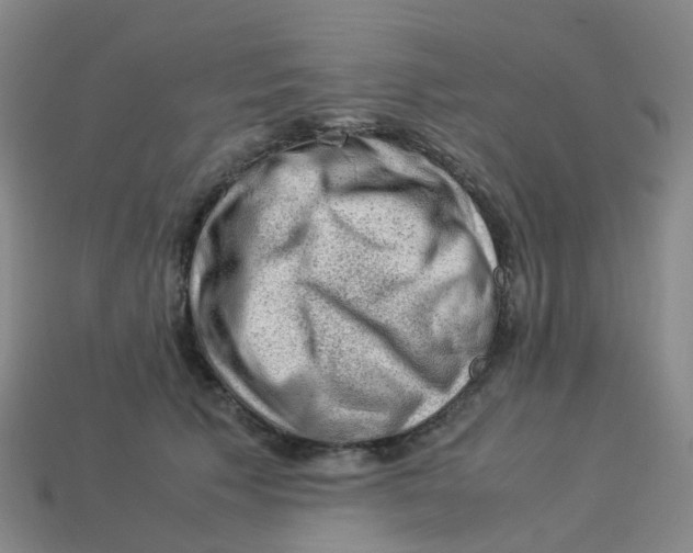 X0000113330609200910131150