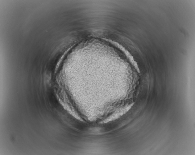 X0000113330610200910131150