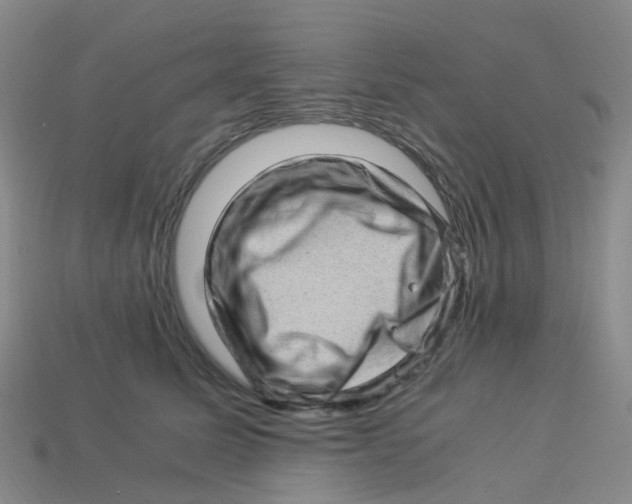 X0000113330611200910131150