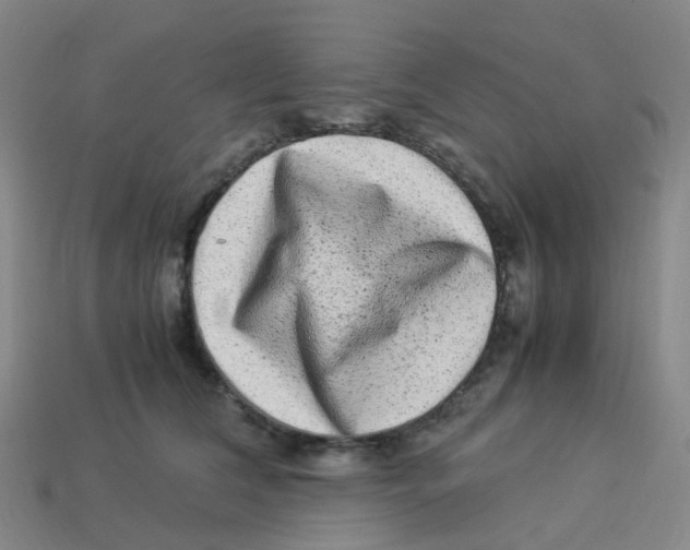 X0000113330612200910131150