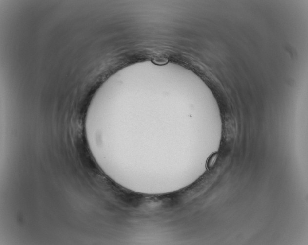 X0000113330613200910131150