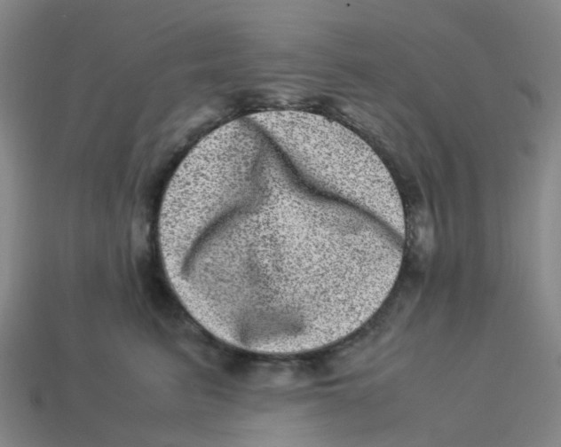 X0000113330615200910131150