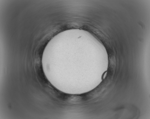X0000113330617200910131150