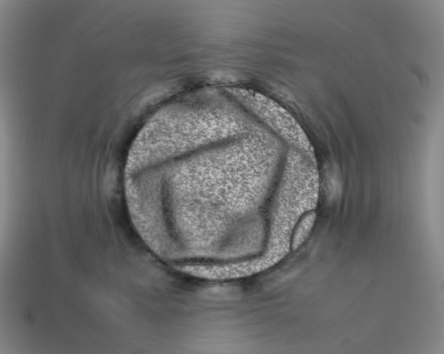 X0000113330619200910131150