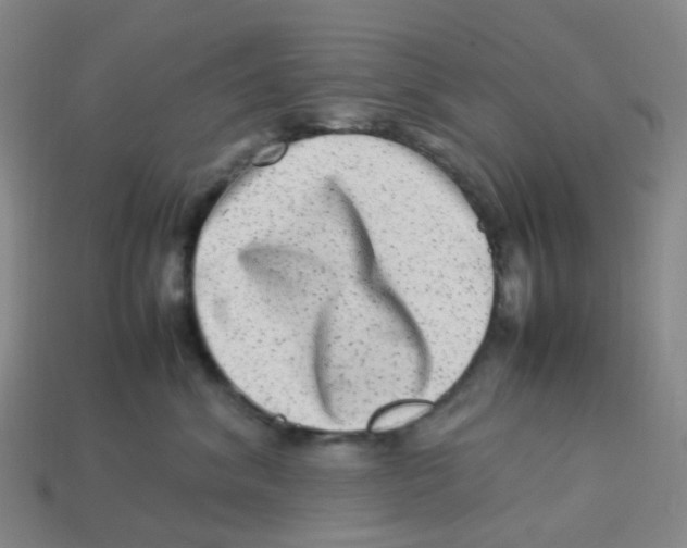 X0000113330620200910131150
