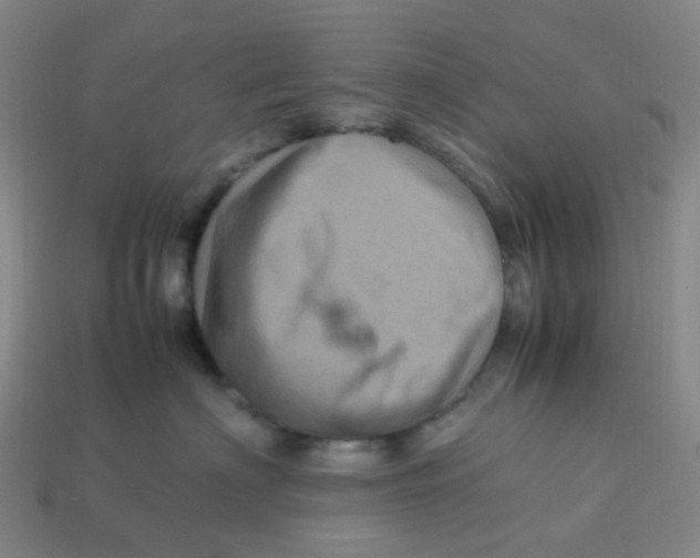 X0000113330622200910131150