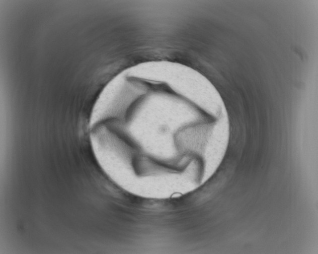 X0000113330624200910131150