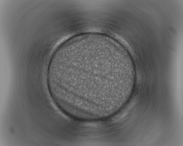 X0000113330625200910131149