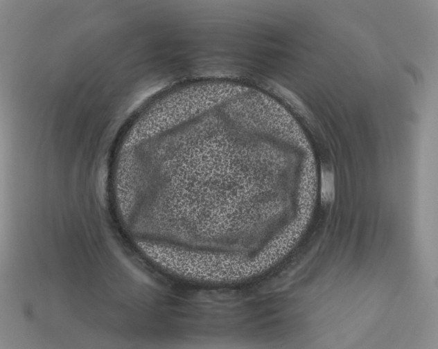 X0000113330627200910131149
