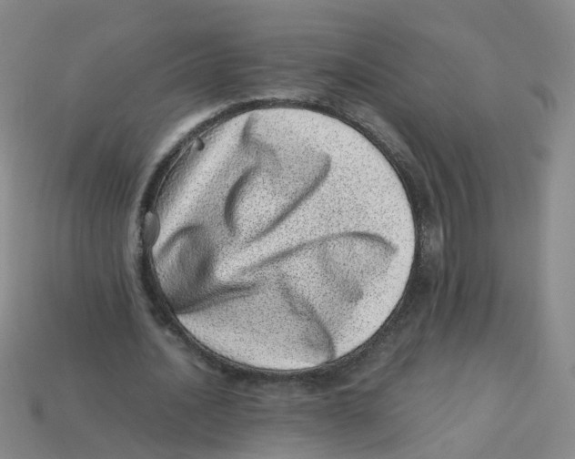 X0000113330628200910131149