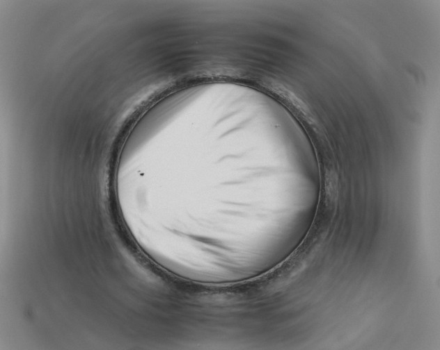 X0000113330629200910131149