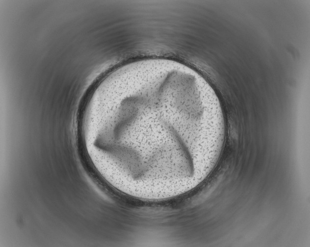 X0000113330630200910131149